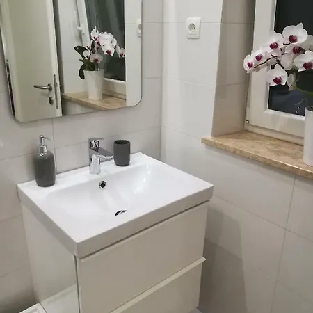 Mirela Apartmán *