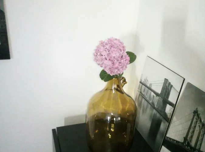 Mirela * Novigrad Istria