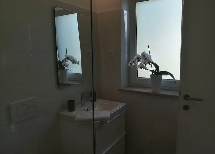 Mirela 아파트 Novigrad Istria