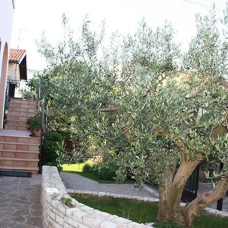 Apartament Mirela Novigrad (Istria)