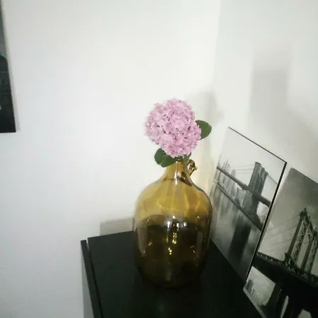 Mirela * Novigrad Istria